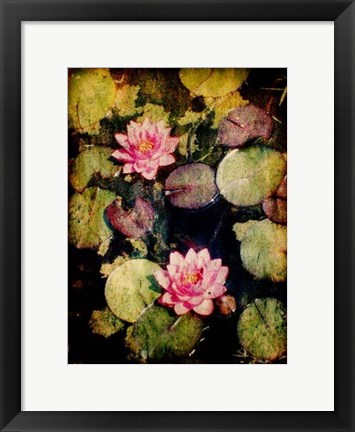 Framed Lily Ponds VI Print