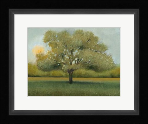 Framed Sunrise II Print