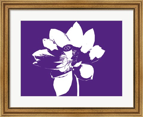 Framed Lilly on Purple Print