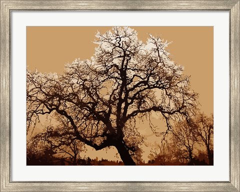 Framed Oak Tree on Tope Print
