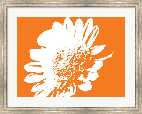 Framed Orange Mum Print