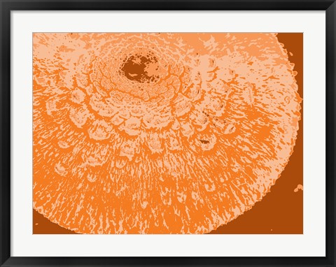 Framed Orange Abstract Print