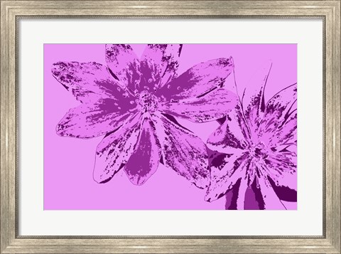 Framed Pink Anemone Print