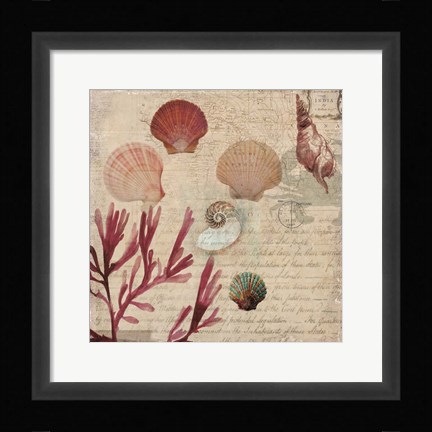 Framed Coral II Print
