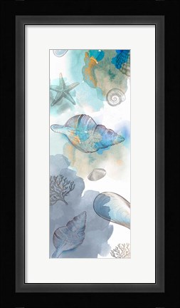 Framed Shell Reflections II Print