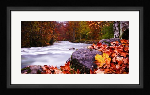 Framed Autumn Flow Print