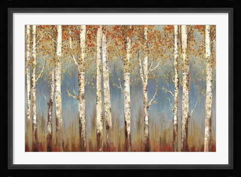 Framed Falling Embers Print