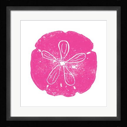 Framed Pink Sand Dollar Print