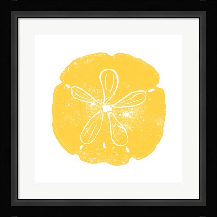 Framed Yellow Sand Dollar Print