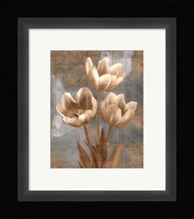 Framed Tulip II Print