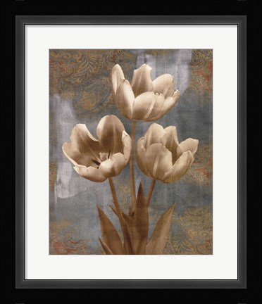 Framed Tulip II Print