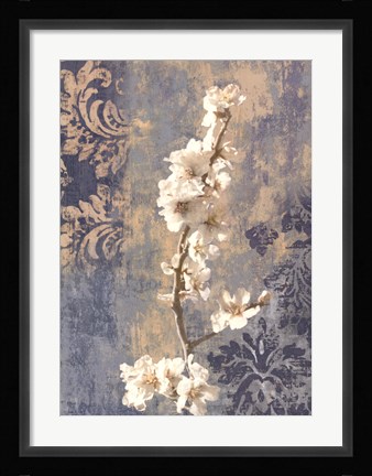 Framed Blossom II Print