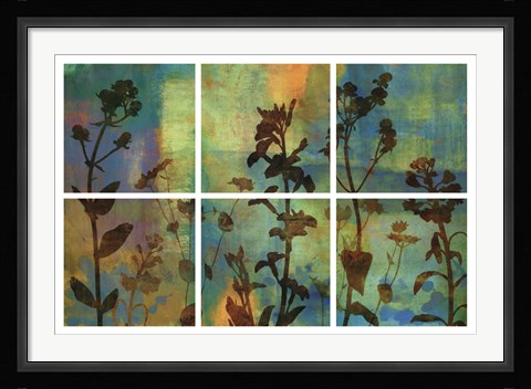 Framed Wild Flowers II Print