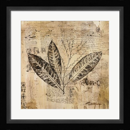 Framed Botanical Sketchbook I Print