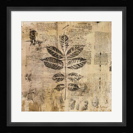 Framed Botanical Sketchbook II Print