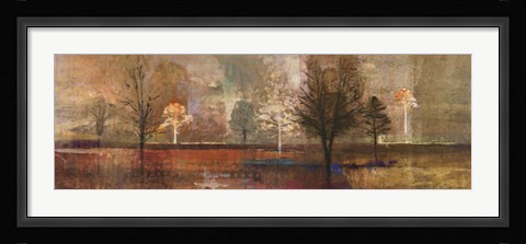 Framed Tree Shadows I Print