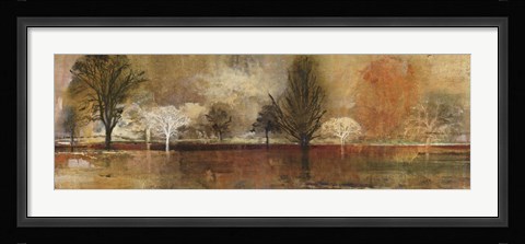 Framed Tree Shadows II Print