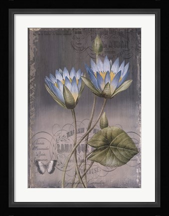 Framed Black Botanical I Print