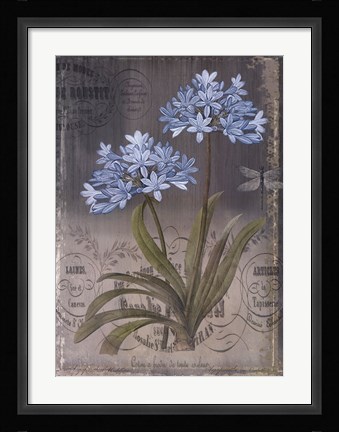 Framed Black Botanical II Print