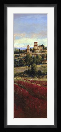 Framed Tuscan Harvest I Print