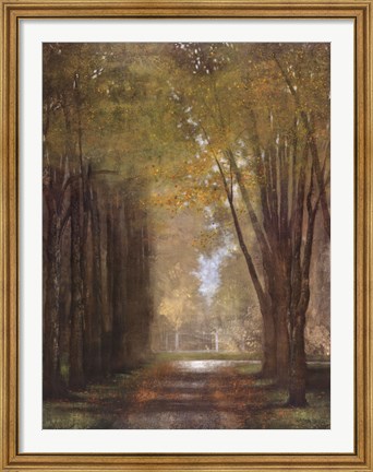 Framed Mist Print