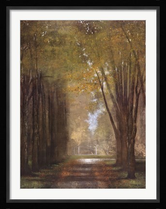 Framed Mist Print