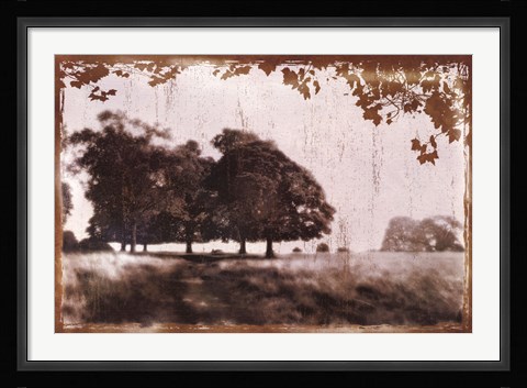 Framed Tree Meadow II Print