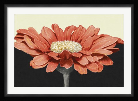 Framed Apricot Flame I Print