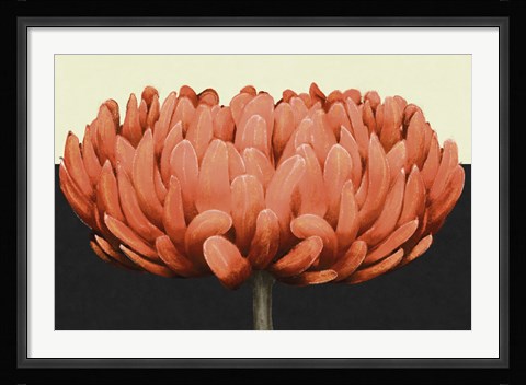 Framed Apricot Flame II Print