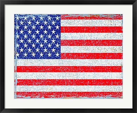 Framed Stars and Stripes Print