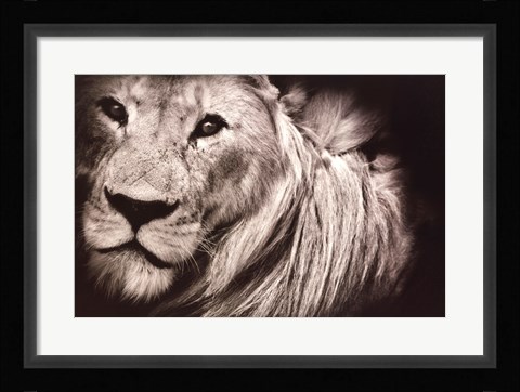 Framed Mane Event Print