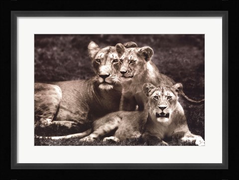 Framed Response Print