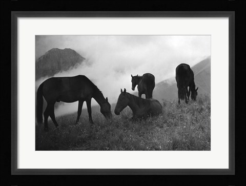 Framed Morning Mist Print