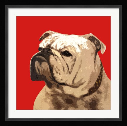 Framed British Bulldog, Red Print
