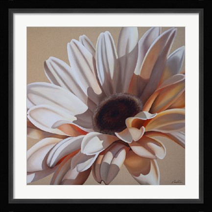 Framed White Gerbera Print
