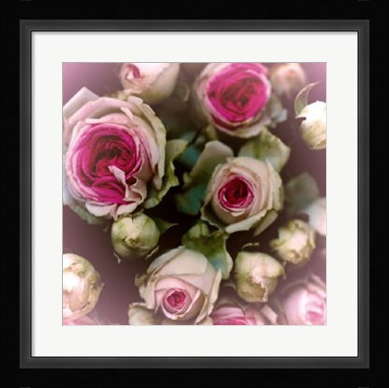 Framed Roses Print