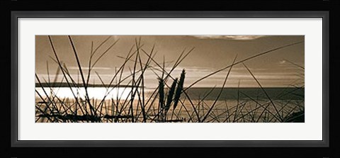 Framed Setting Sun II Print