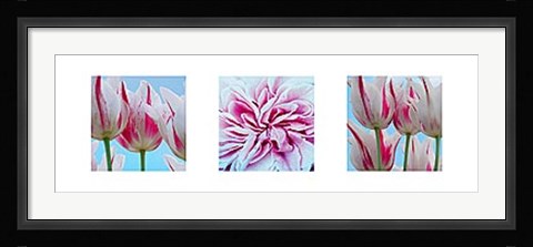 Framed Fresh Blooms Triptych Print