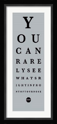 Framed Eye Chart II Print