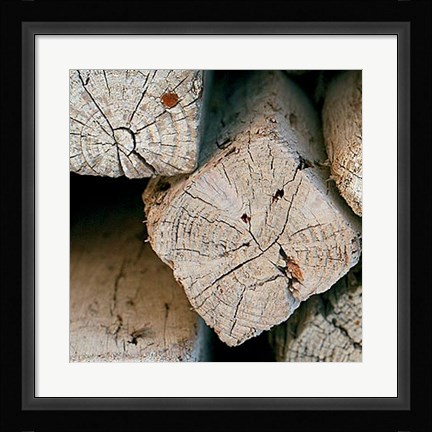 Framed Silvana XIV Print