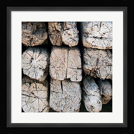 Framed Silvana XVI Print