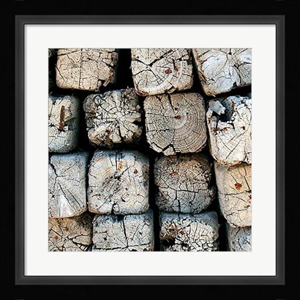 Framed Silvana XV Print