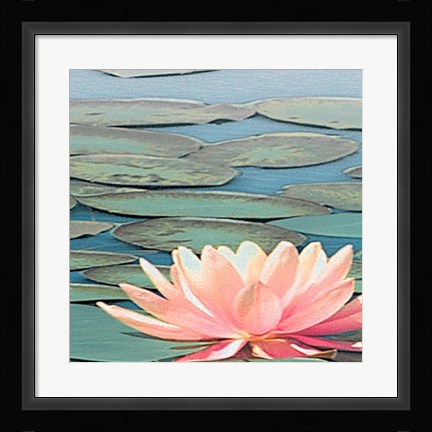 Framed Lily Pool IV Print