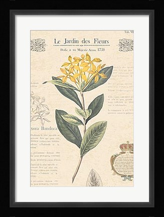 Framed Le Jardin des Fleurs I Print