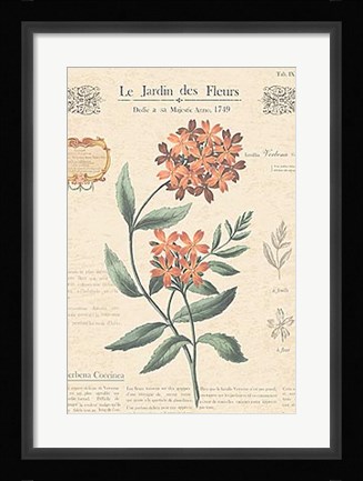 Framed Le Jardin des Fleurs II Print