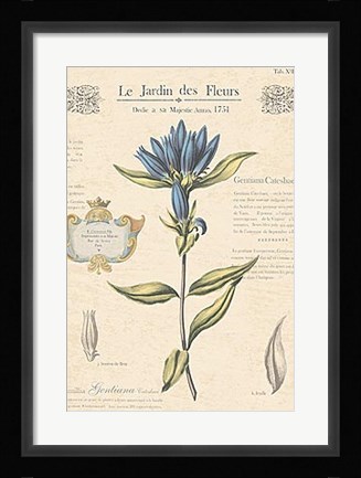 Framed Le Jardin des Fleurs III Print