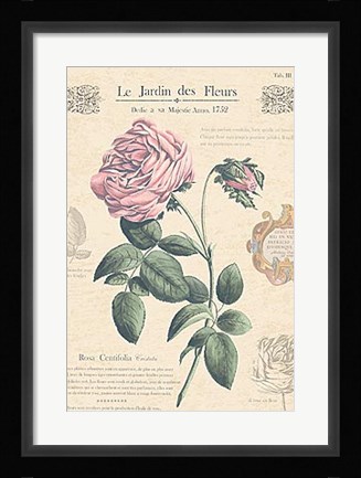 Framed Le Jardin des Fleurs IV Print