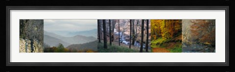 Framed In Awe of Autumn I Print