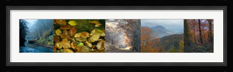 Framed In Awe of Autumn II Print