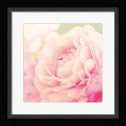 Framed Bloom Print